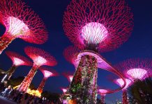 Từ 16/03/2022: nhập cảnh Singapore không cần cách ly @stanpoh via Twenty20